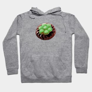 Green Jelly Biscuit Hoodie